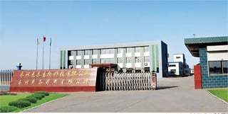 19工厂
